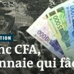 Diaspora Ivoirienne | Ivoiriens de l'étranger