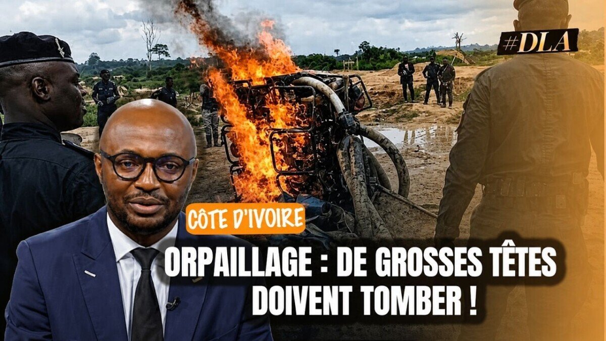 Orpaillage clandestin en Côte d’Ivoire : de la rente des comzones aux réseaux transnationaux